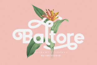Blending Simplicity and Sophistication: The Baltore Typeface